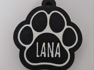 Customizable dog tag