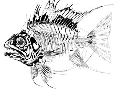 Fish_skeleton 