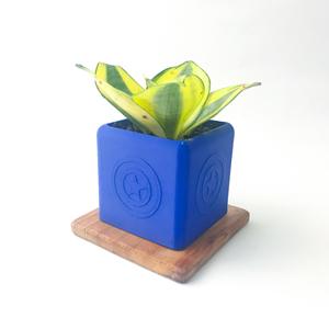 DESKTOP Grant Rogers planter (PRINT IN PLACE).