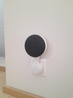 Google Nest Mini mount