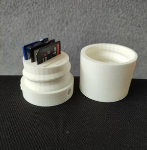 Case for SD Cards