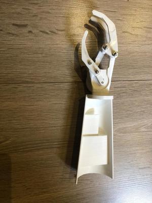 Prótesis de pinza (prosthesis)