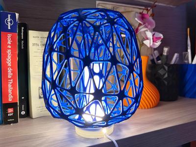 Organic Lamp