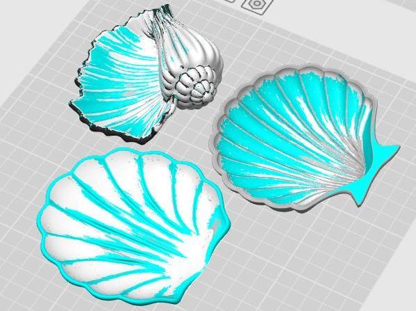 Seashell Decorative Tray, Party Dish, Table Decor