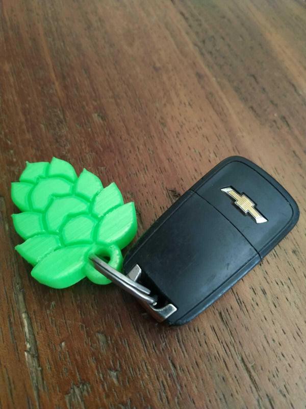 Beer and soda bottle opener key chain