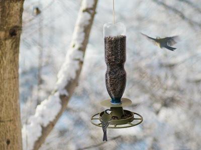 3D model – Bird feeder