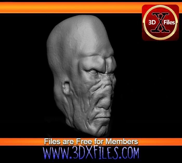 Star wars 1:6 Scale Head Sculpt - 1/6th Munn Alien - Black Series - Hottoys - 1:12 and 1:6 Scale- Action Figure
