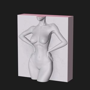female body / sculpture of the female body