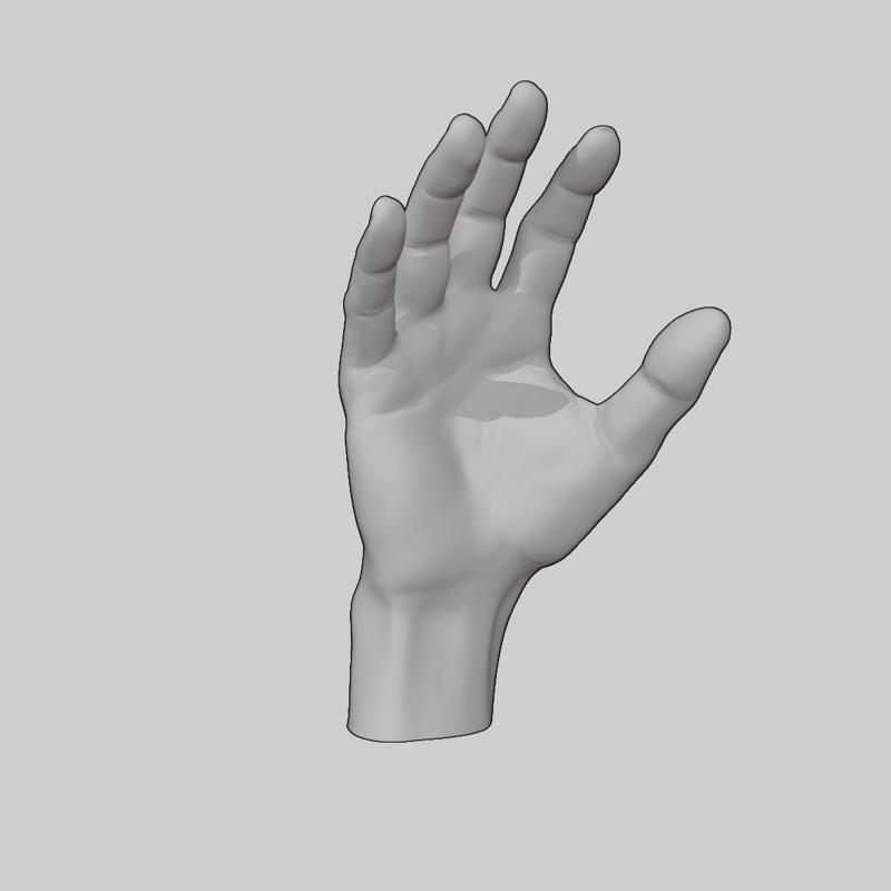 RESIDUAL EVIL 8 VILLAGE Hand