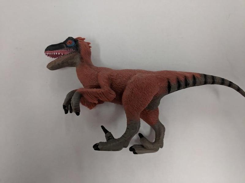 Velociraptor Dinosaur