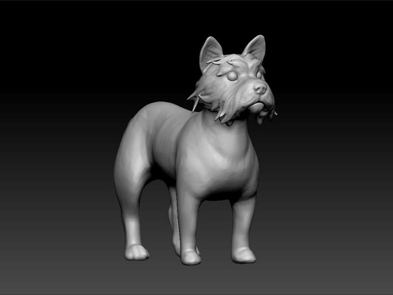 Dog cavapoo -cavapoo dog