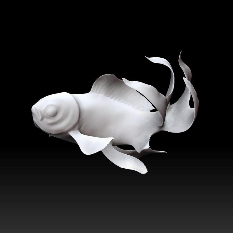 Fish - beautiful fish