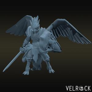 Aarakocra Knight
