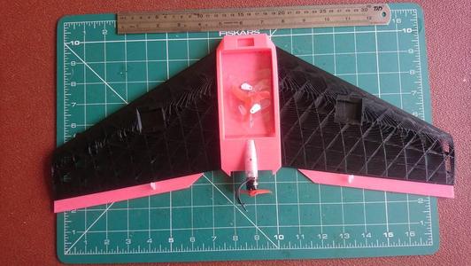 Micro FPV Wing