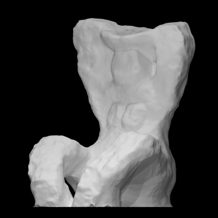 Brez naslova (No title)