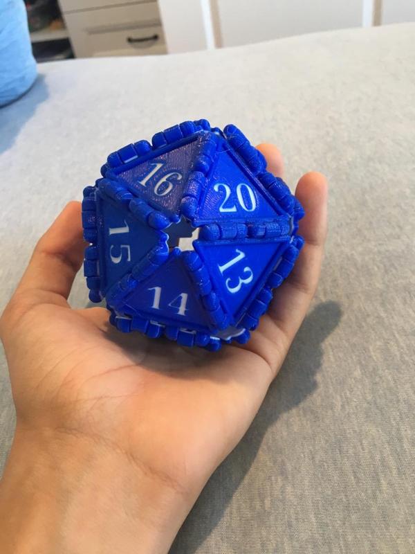 Polypanels 20 Sided Dice