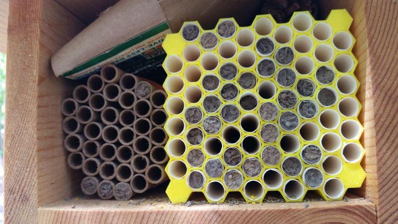 Mason Bee & Leafcutter Bee Blocks