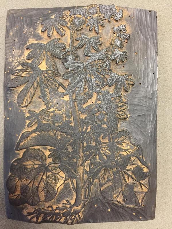 Historic Wood Blocks