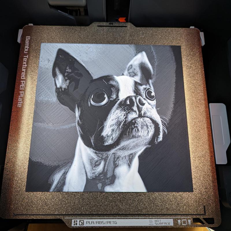 Boston Terrier - Hueforge
