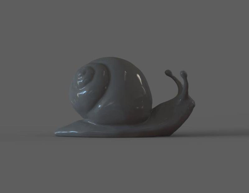 Snail 
