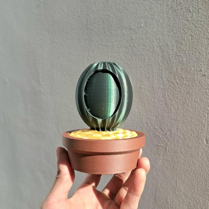 cactus jewelry storage