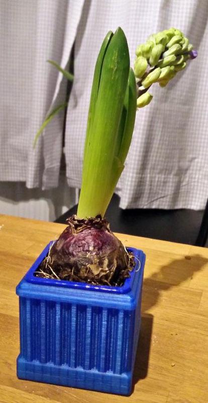 Swedish Traditional Holiday Flower Adapter