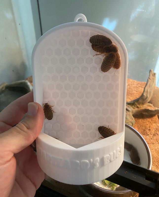 Bug Muncher - Reptile Feeder