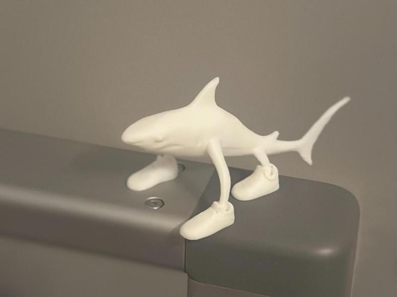 tralalero tralala Brainrot meme