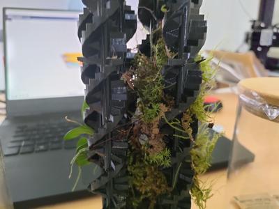 Terrarium Stairways ruins Diorama Planter