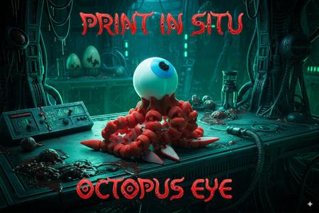 Eyeball Octopus