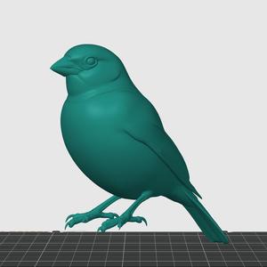 The sparrow is a symbol of nature