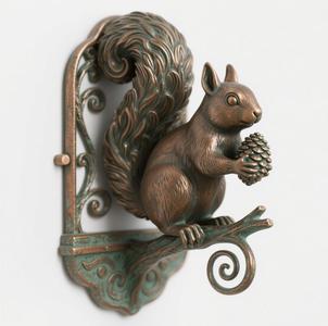 Squirrel