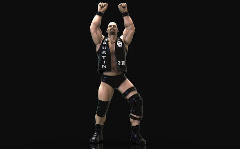 STONE COLD STEVE AUSTIN