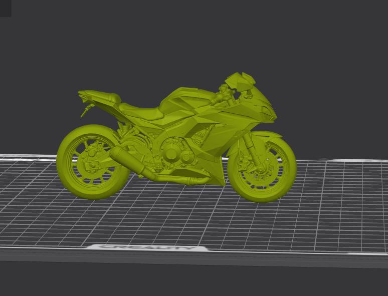 Kawasaki Ninja Motorcycle