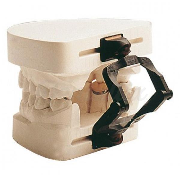 Disposable Dental Articulator