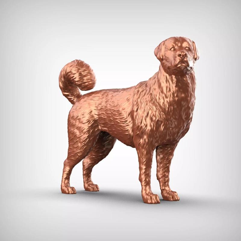 Anatolian Shepherd Dog 3D Print Model Pose 03
