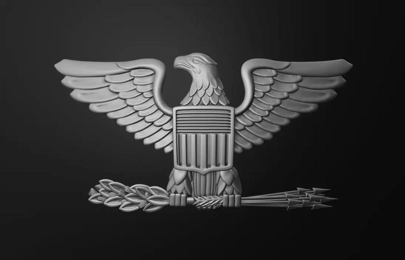 Air force colonel insignia