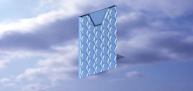 Vaccination pass cover protection