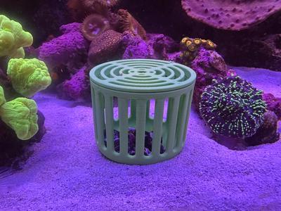 Improved Mushroom Coral Box (Conical Bottom)