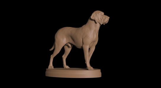 Polish Hound