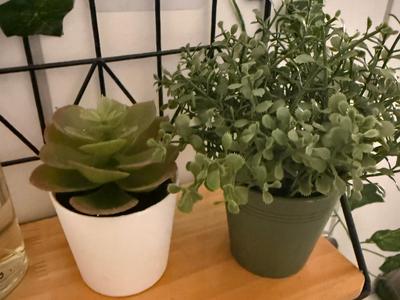 EVA Bath – Calm | Plant Pots (2 pieces)
