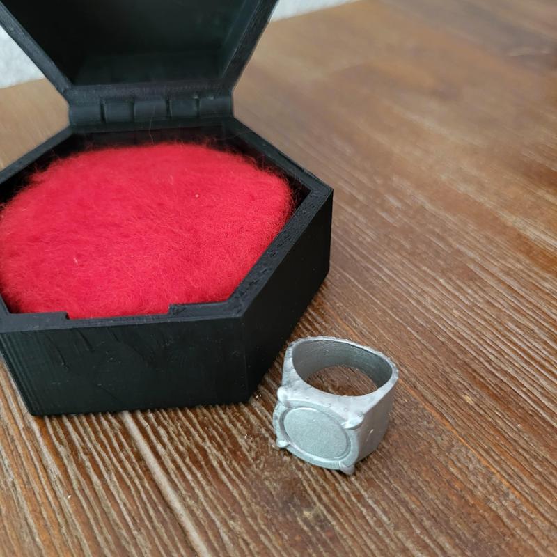 Miraculous - Cat Noir (Adrien's camouflage)