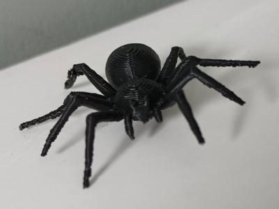Simple Spider