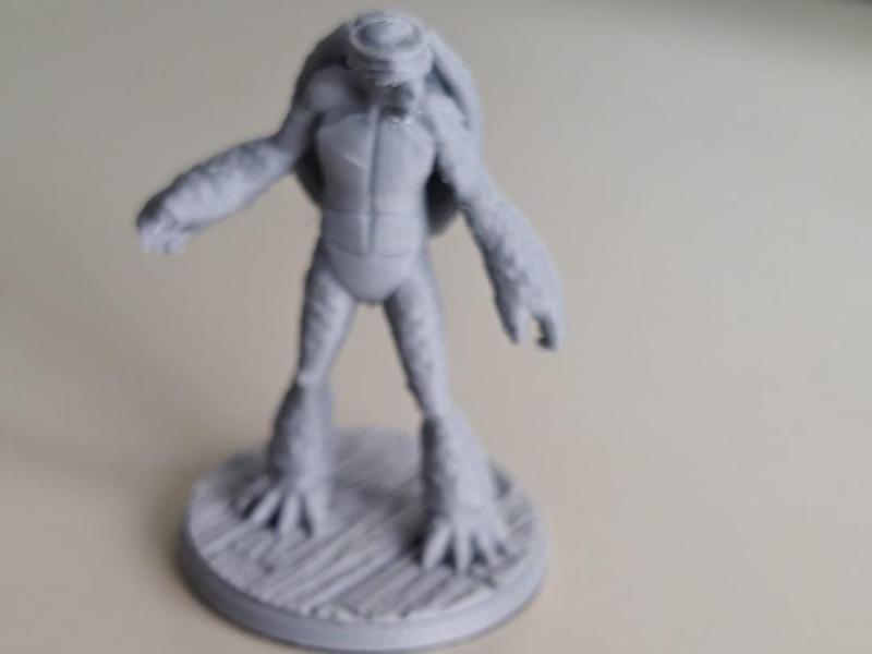 DnD PC tortle monk mini 25mm