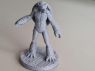DnD PC tortle monk mini 25mm