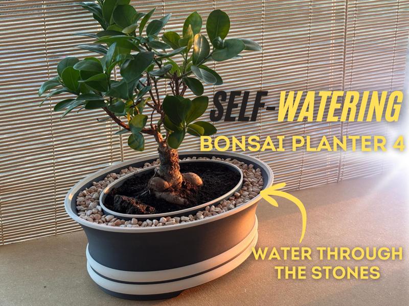 Self-watering Bonsai Planter Pot 4