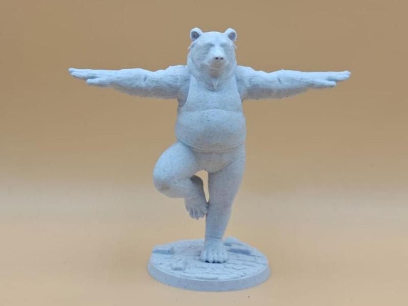 Papa Grizzly’s Yoga Adventure