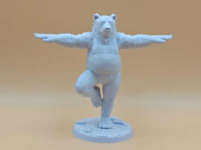 Papa Grizzly’s Yoga Adventure