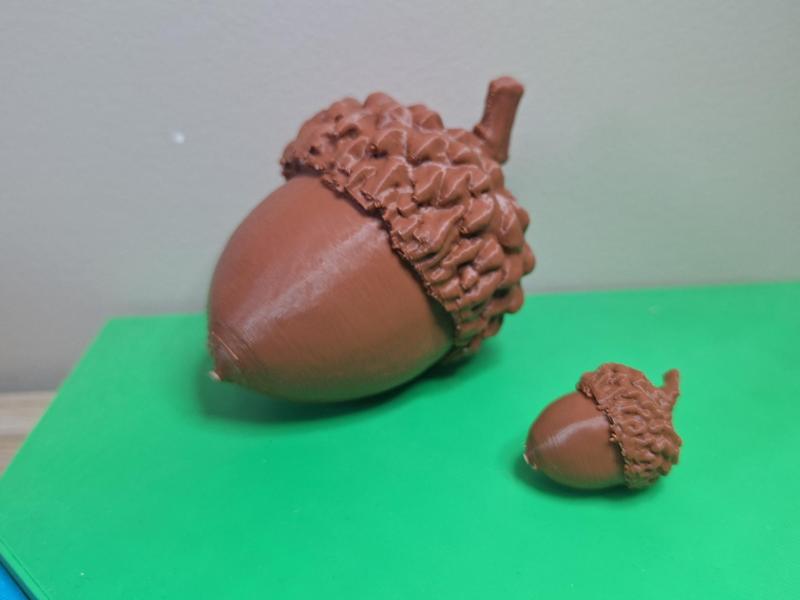 Acorn
