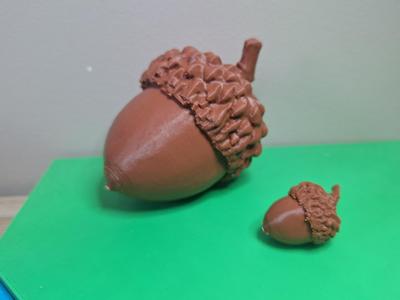 Acorn